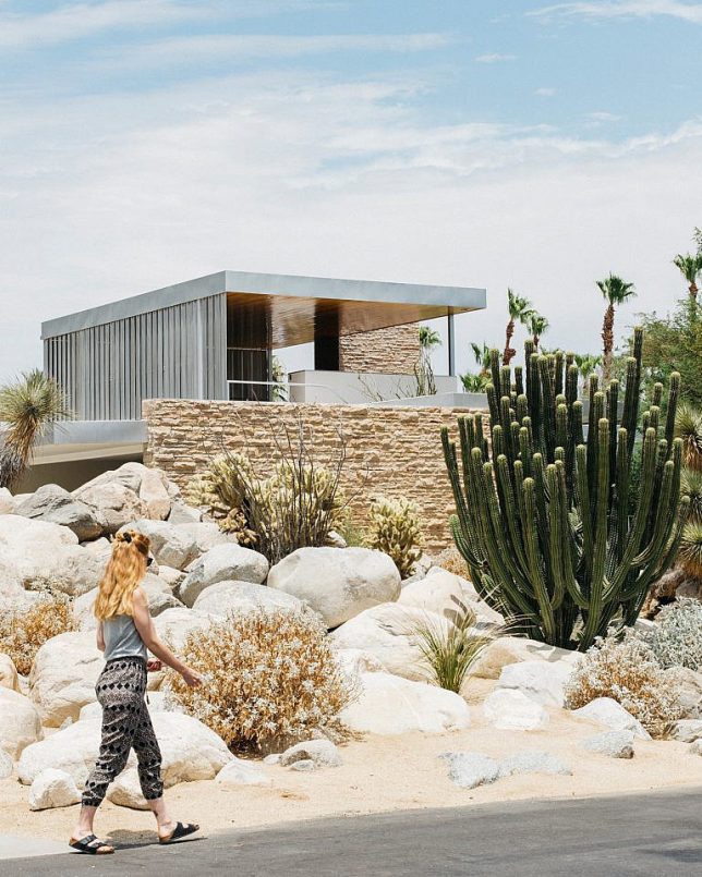 niv-rozenberg-356668-unsplash